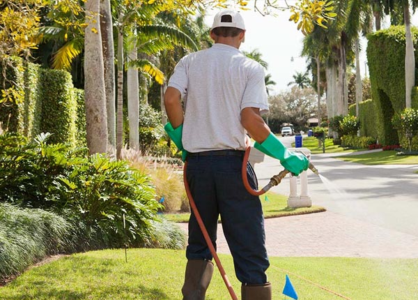 About Bokeelia FL Pest Control